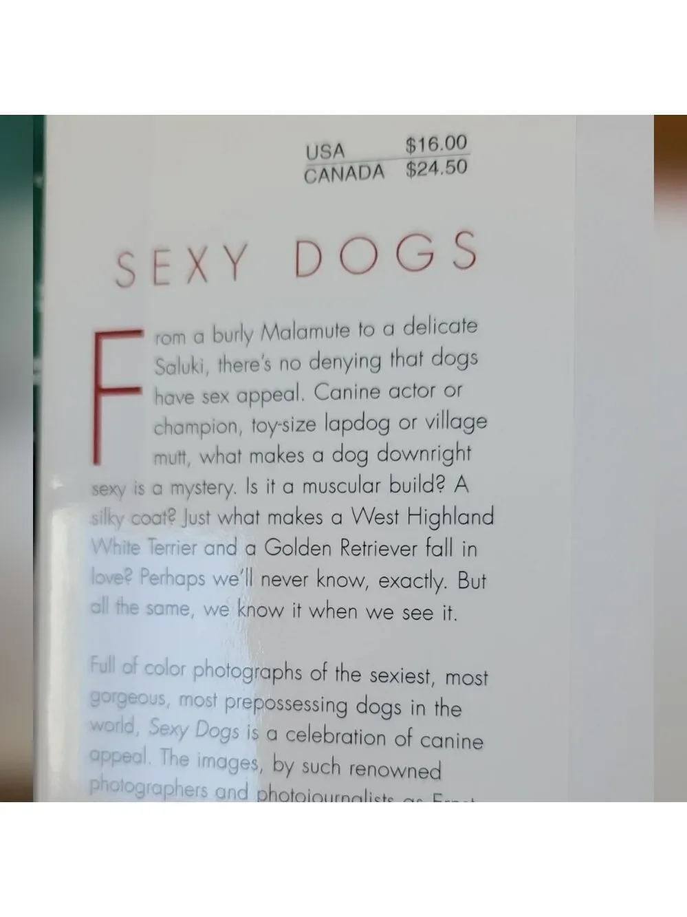 Hardcover Book 'SEXY DOGS' by JC Saures